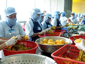 Xuất khẩu nông sản thắng lớn