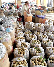 Làm gì để nâng cao giá trị trái cây Đồng bằng sông Cửu Long?