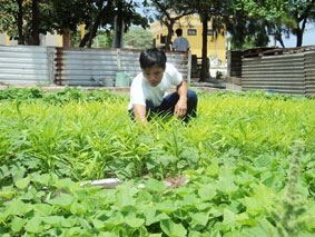 Sức sống trên quần đảo Trường Sa