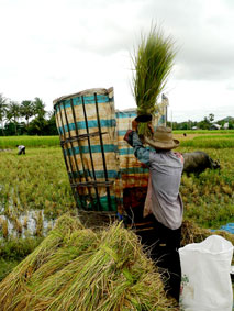 Cần mở mũi đột phá từ chính sách