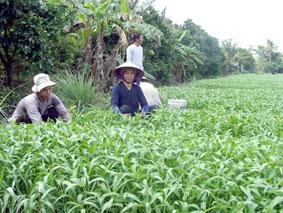 Cần đẩy mạnh liên kết, hợp tác