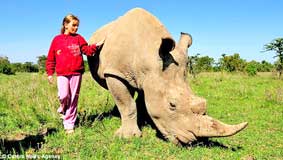 Làm bạn với tê giác