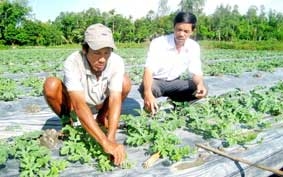 Lãnh đạo thực hiện nhiều giải pháp giúp dân phát triển kinh tế hộ, nâng cao đời sống