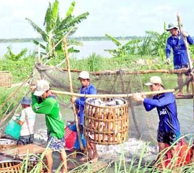 Cần được quan tâm đúng mức