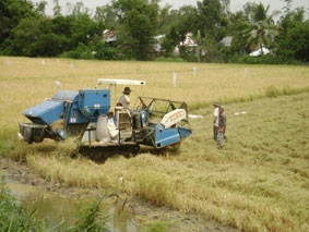 Giảm khâu trung gian, đẩy mạnh cơ giới hóa trong sản xuất