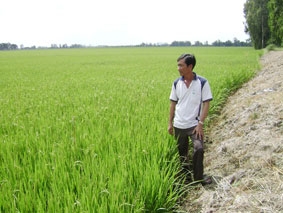 Giúp nông dân "chuyên nghiệp" hơn