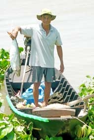 Khi rừng lấn biển !