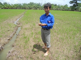 Kỹ sư Lê Đình Dự - tận tâm phục vụ nhân dân