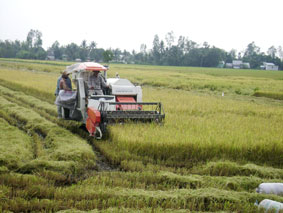 Kỳ vọng lớn vào ngành nông nghiệp
