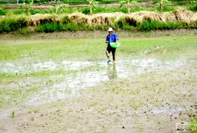 Cần quản lý dinh dưỡng đúng và đủ