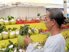 Cách nào để nông dân có lợi nhuận tối đa?