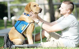 Vật nuôi có thể sánh ngang bạn bè