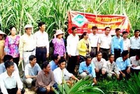 Kết quả khả quan từ mô hình thí điểm