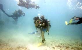 Đám cưới dưới nước