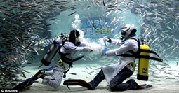 Biểu diễn taekwondo dưới nước