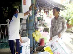 Cá giống hút hàng