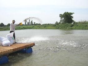 Cần sự chia sẻ khó khăn giữa người nuôi và doanh nghiệp