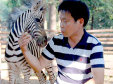 Ngựa vằn chỉ ăn khi có “đồng loại”!