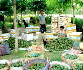 Trở lại quê hương "Người mẹ cầm súng"