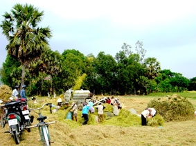 Nhiều cơ hội đầu tư cho nông nghiệp vùng ĐBSCL