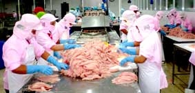 Xây dựng hình ảnh cho con cá tra Việt Nam