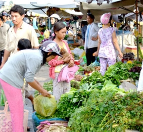 Tập trung ổn định sản xuất và tiêu dùng