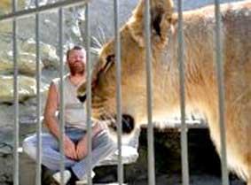 Sống cùng... sư tử