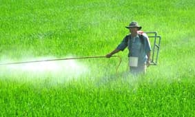 Để nông dân sản xuất thắng lợi vụ lúa thu đông 2011