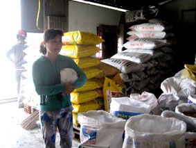 Cần tập trung bình ổn giá phân bón