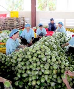 Cần có phương án, bước đi phù hợp