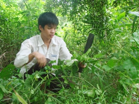 Mong ước của Bình được thắp sáng!