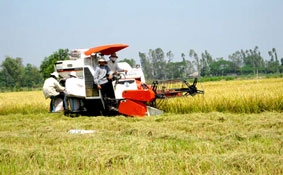 Cần sự chủ động từ "4 nhà"