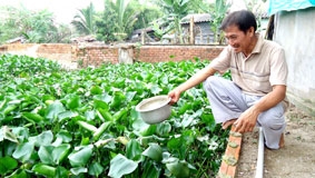 Nuôi ba ba làm giàu