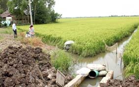 Chủ động ứng phó với lũ