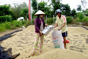 Sẽ không thiếu hàng, sốt giá