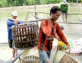 Nhu cầu tất yếu trong hội nhập