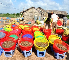 Cần có định hướng tốt