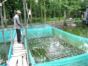 Hiệu quả nhưng chưa bền vững!