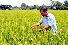 Nâng cao giá trị theo vùng sản xuất