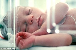 Ngăn ngừa sinh non bằng “miếng vá” tế bào gốc