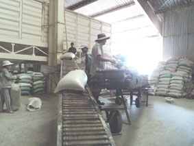 Hướng đến mục tiêu thành phố công nghiệp