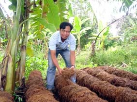 "Kỹ sư" nấm rơm
