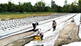 Để Đề án xã nông thôn mới sát với thực tiễn