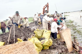 Lũ đầu nguồn ĐBSCL vượt báo động 3