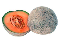 Cảnh báo ngộ độc thực phẩm do vi khuẩn listeria monocytogenes