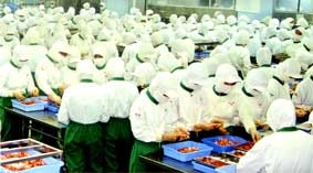 Thiếu nguyên liệu: Mối lo thường trực !