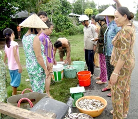 Sôi động thị trường thủy sản mùa lũ