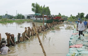 Chuyện lũ lụt, lúa và đê bao ở ĐBSCL