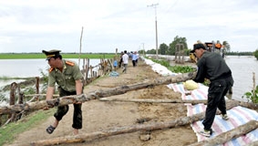 Nỗ lực hạn chế thiệt hại do mưa lũ