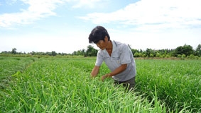 Cuộc bứt phá từ đồng đất